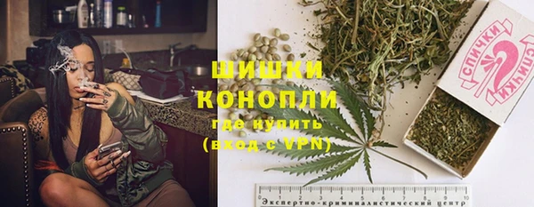 шишки Нефтекумск