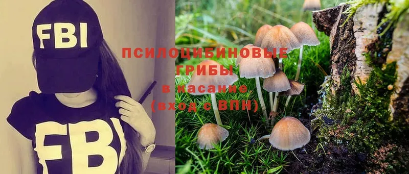 Галлюциногенные грибы MAGIC MUSHROOMS Руза